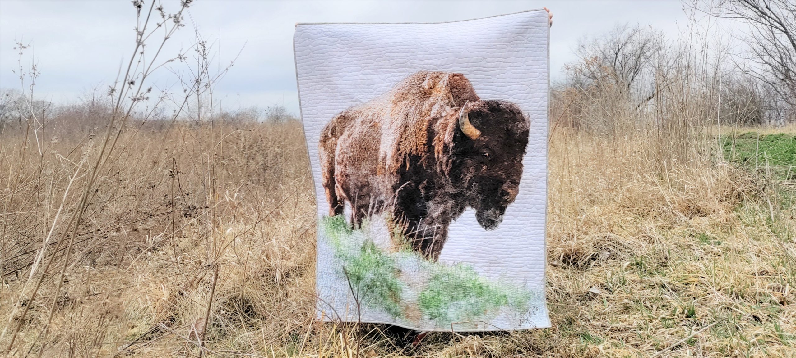 Nature's Window Buffalo panel free-motion quilted being held by a young boy in a field of brown grass